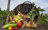 2014 Anno dell'agricoltura familiare